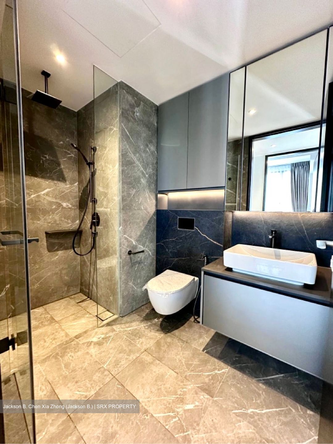 Irwell Hill Residences (D9), Apartment #620301741